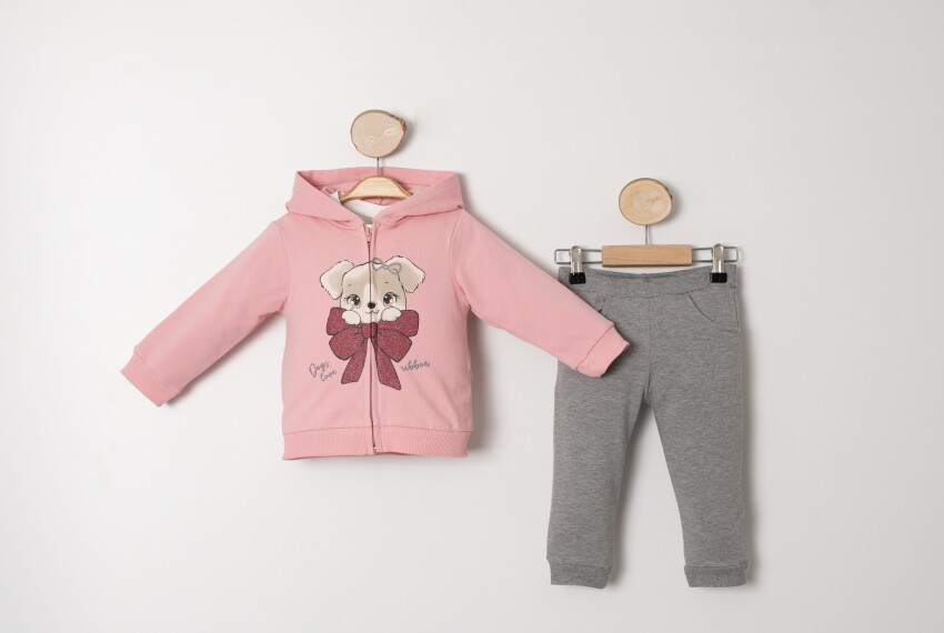 Wholesale Baby Girls Tracksuit Set 9-24M Sani 1068-10021 Sani 1068-10021 - 3