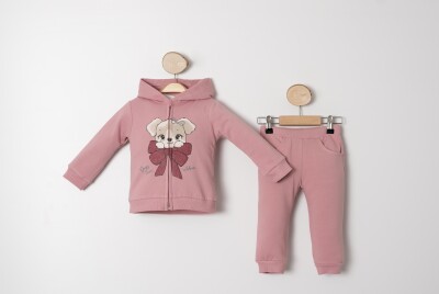 Wholesale Baby Girls Tracksuit Set 9-24M Sani 1068-10021 Sani 1068-10021 - Sani