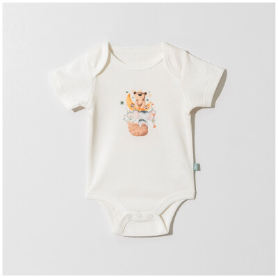 Wholesale Baby Printed Bodysuit 0-9M Pambuliq 2030-7104 - Pambuliq