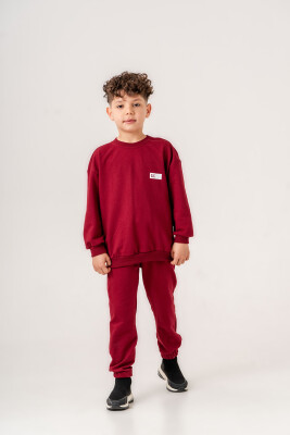 Wholesale Boys 2-Piece Sweatshirt and Pants Set 6-9Y Gold Class 1010-3634 Бордовый 
