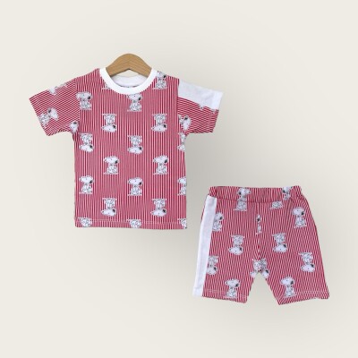 Wholesale Boys 2-Piece T-Shirt and Shorts Set 1-4Y Algiy Mini 2047-2835TK - Algiy Mini