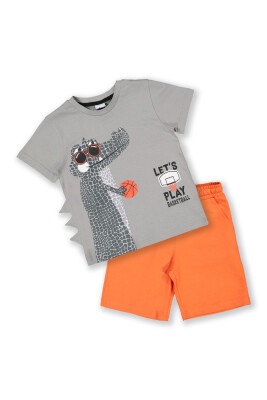Wholesale Boys 2-Piece T-Shirt and Shorts Set 3-6Y Elnino 1025-22123 Дымчато-серый