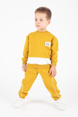 Wholesale Boys' 2pcs Tracksuit Set 1-5Y Pafim 2041-K24-9014 Горчичный