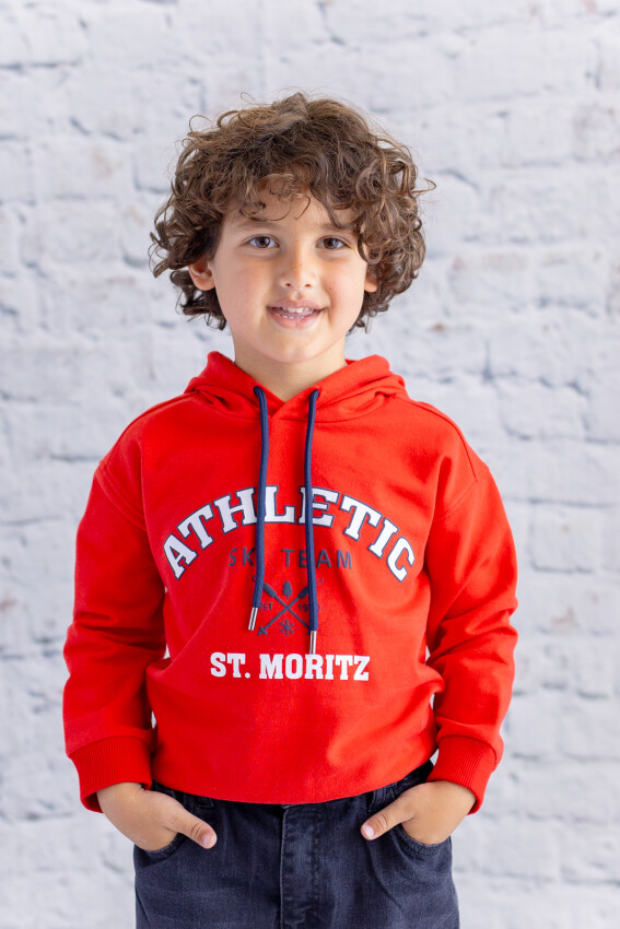 Wholesale Boys Hooded Printed Sweatshirt 1-12Y Zeyland 1070-252Z3EZC62 - 1