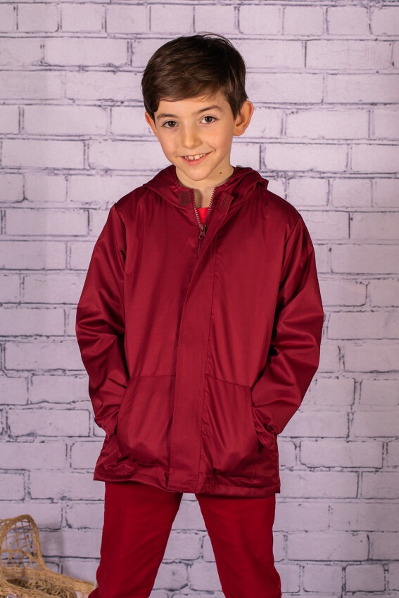 Wholesale Boys Hoodie Raincoat 2-7Y Zeyland 1070-231Z1YMR22 - 1