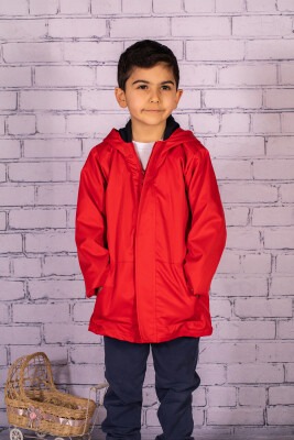 Wholesale Boys Hoodie Raincoat 2-7Y Zeyland 1070-231Z1YMR22 - Zeyland (1)