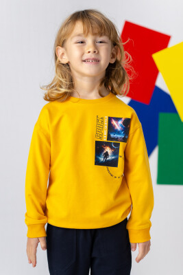 Wholesale Boys Printed Basic Sweatshirt 3-14Y Zeyland 1070-241Z3SPC61 Горчичный