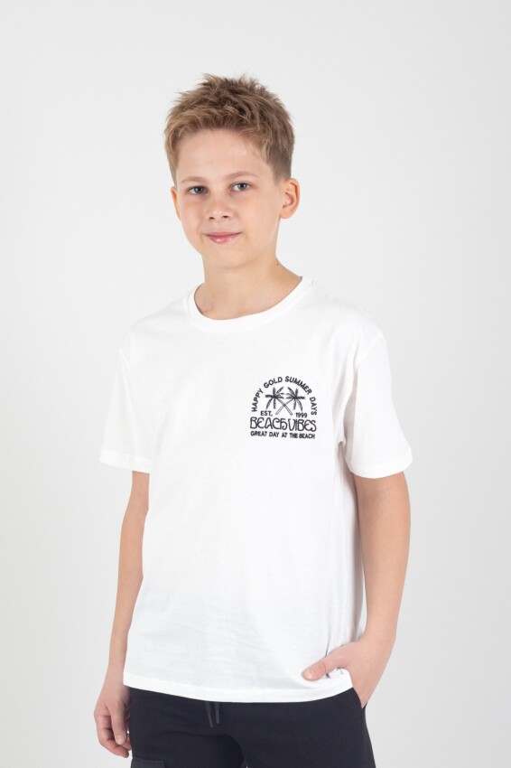 Wholesale Boys Printed T-shirt 10-13Y Divonette 1023-6507-4 - 2