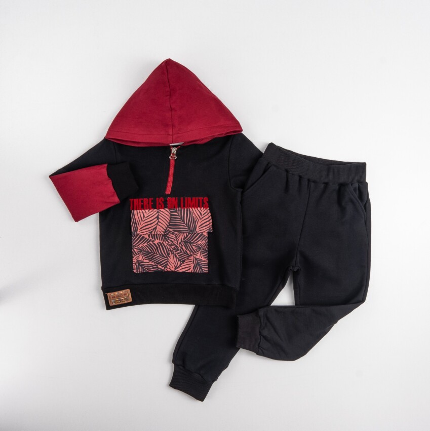 Wholesale Boys Printed Tracksuit Set 5-8Y Pankido 2037-9611 - 3