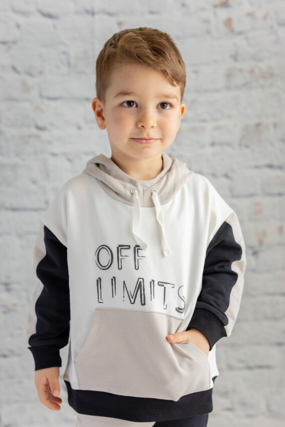 Wholesale Boys Sweatshirt 6-12Y Zeyland 1070-232Z3BUM62 - 1