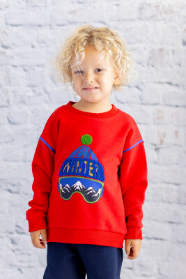 Wholesale Boys' Sweatshirt with Print and Embroidery Details 1-12Y Zeyland 1070-252Z3EZC65 - 2