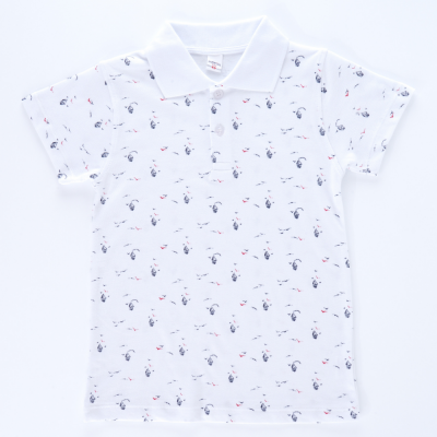 Wholesale Boys T-shirt 10-13Y Pafim 2041-Y23-6525 - 1