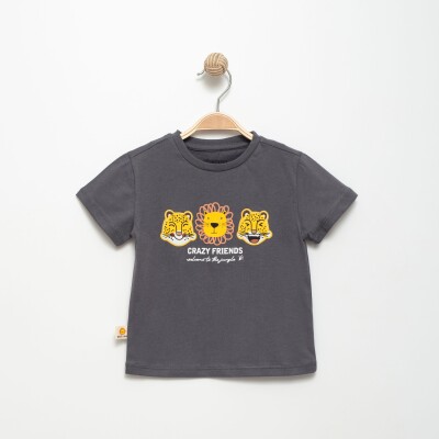 Wholesale Boys T-shirt 2-5Y Divonette 1023-6530-2 Темно-серый 