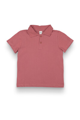 Wholesale Boys T-shirt 2-5Y Tuffy 1099-1781 Черепичный цвет