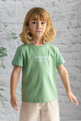 Wholesale Boys T-shirt 3-14Y Zeyland 1070-241Z3TSY51 - 2