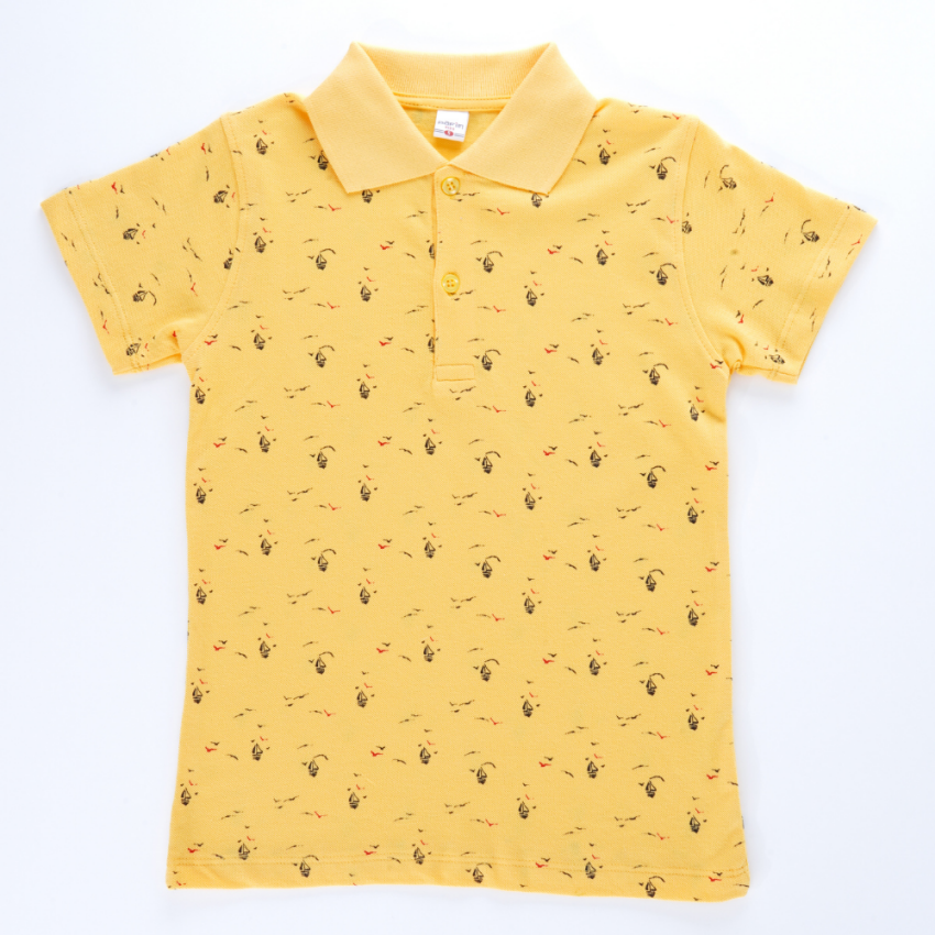 Wholesale Boys T-shirt 6-9Y Pafim 2041-Y23-6524 - 2