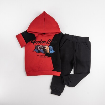 Wholesale Boys Tracksuit Set 1-4Y Pankido 2037-9494 Бордовый 