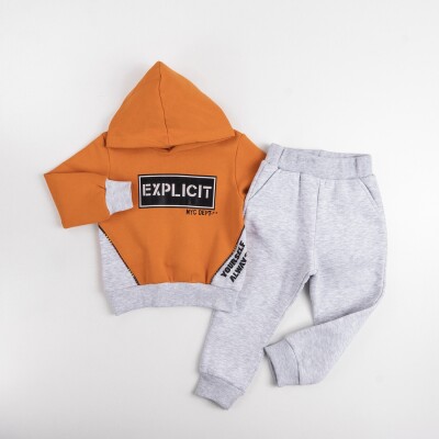 Wholesale Boys Tracksuit Set 1-4Y Pankido 2037-9708 Горчичный