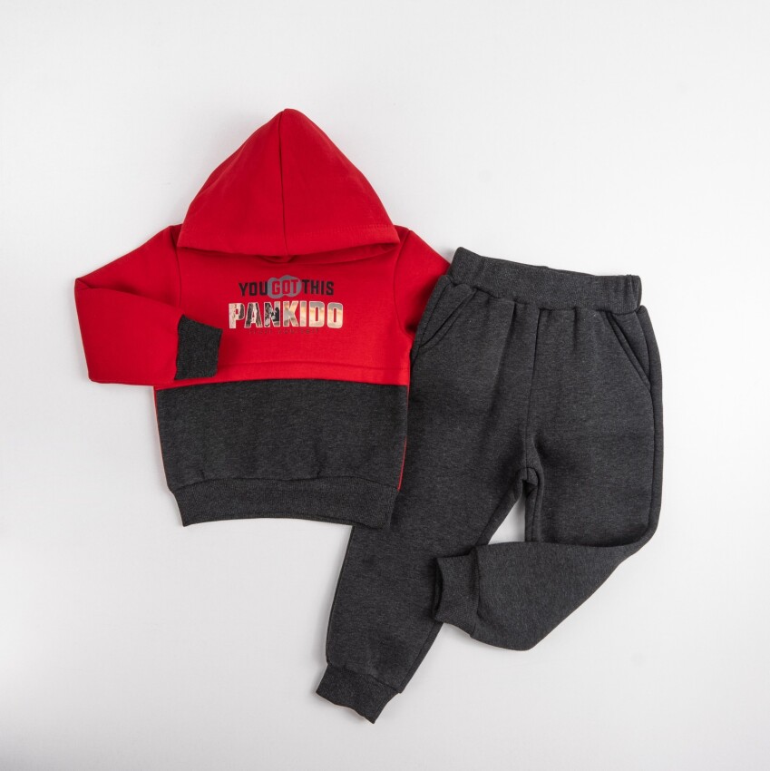 Wholesale Boys Tracksuit Set 5-8Y Pankido 2037-9687 - 3