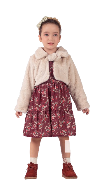 Wholesale Girl's 2-Piece Dress and Vest Set 2-5Y Elayza 2023-2283 - 2