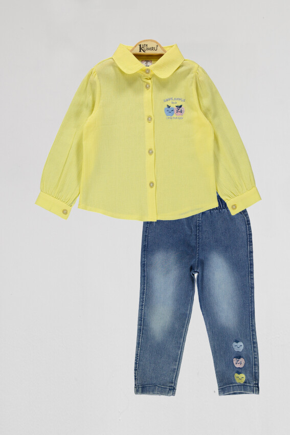 Wholesale Girls 2-Piece Shirts and Denim Pants Set 2-5Y Kumru Bebe 1075-4035 - 1