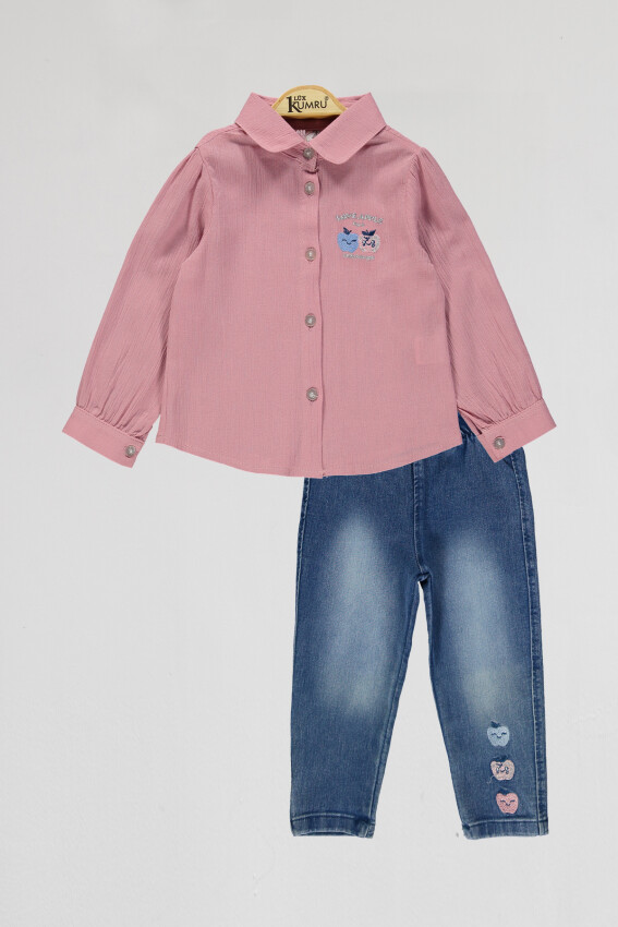 Wholesale Girls 2-Piece Shirts and Denim Pants Set 2-5Y Kumru Bebe 1075-4035 - 6