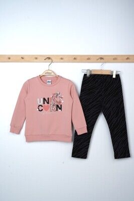 Wholesale Girls 2-Piece Sweatshirts and Leggings Set 3-6Y Elnino 1025-21604 Лососевый цвет