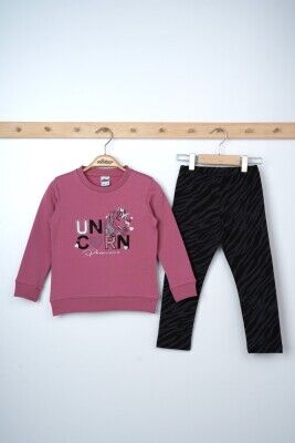 Wholesale Girls 2-Piece Sweatshirts and Leggings Set 3-6Y Elnino 1025-21604 Темно-фиолетовый