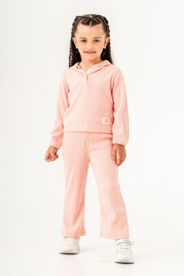 Wholesale Girls 2-Piece Tracksuit Set 2-5Y Tuffy 1099-01051 - 1