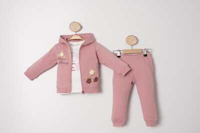 Wholesale Girls 3-Piece Tracksuit Set 1-4Y Sani 1068-20027 Розовый 