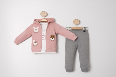 Wholesale Girls 3-piece Tracksuit Set 1-4Y Sani 1068-20054 Розовый 