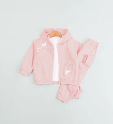 Wholesale Girl's 3pcs Tracksuit Set 2-5Y BabyRose 1002-7801 Пудра