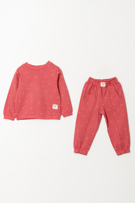 Wholesale Girls Basic Tracksuit Set 2-5Y Tuffy 1099-01095 - 4