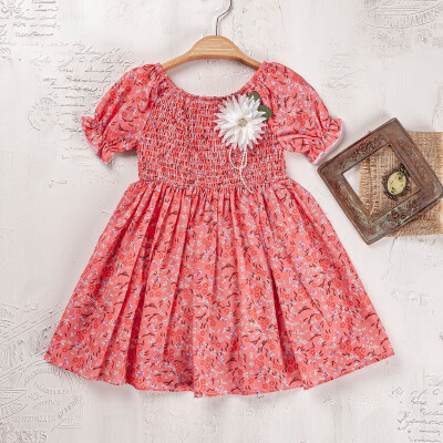 Wholesale Girls Dress 2-5Y Elayza 2023-2305 - Elayza