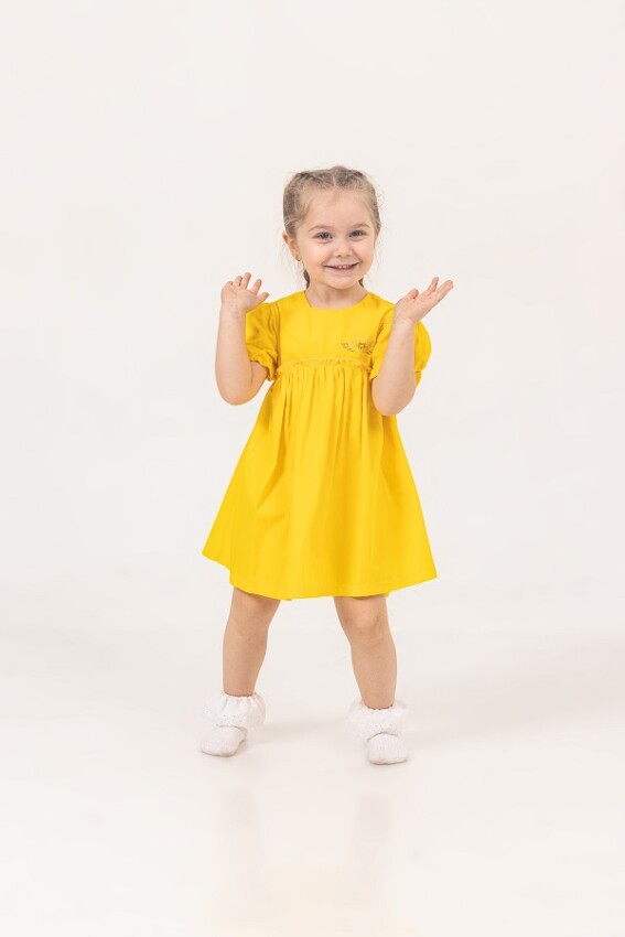 Wholesale Girls Dress 3-6Y Büşra Bebe 1016-24139 - 2