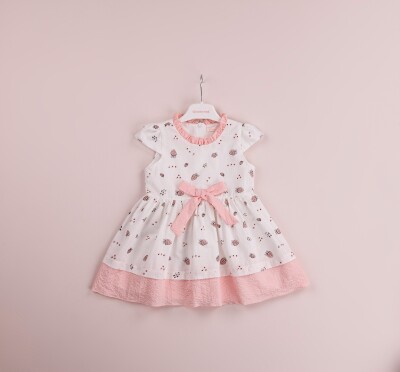 Wholesale Girls Flower Patterned Dress 1-4Y BabyRose 1002-4067 - Babyrose (1)