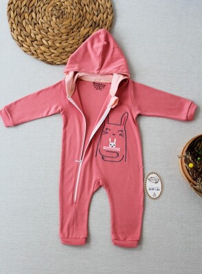 Wholesale Girls Hooded Jumpsuit 0-9M Tomuycuk 1074-25276 - 1