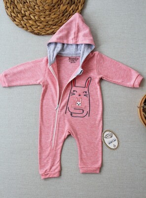 Wholesale Girls Hooded Jumpsuit 0-9M Tomuycuk 1074-25276 - 2