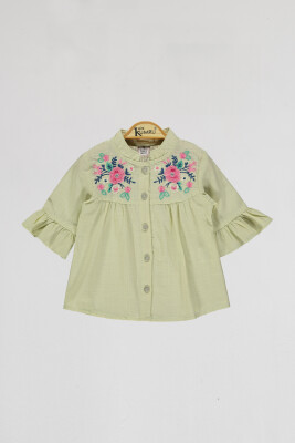 Wholesale Girls Shirt 2-5Y Kumru Bebe 1075-4080 Мятно-зеленый