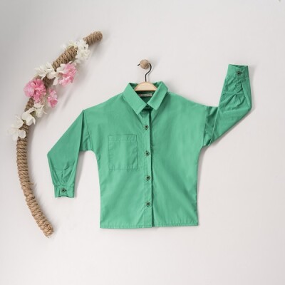 Wholesale Girls Shirt 7-10Y Büşra Bebe 1016-23155 Зелёный 