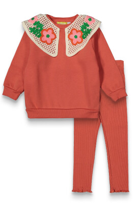 Wholesale Girl's Sweatshirt with Collar Details and Leggings Set 3-6Y Balbala 1048-25BMG501 - Balbala