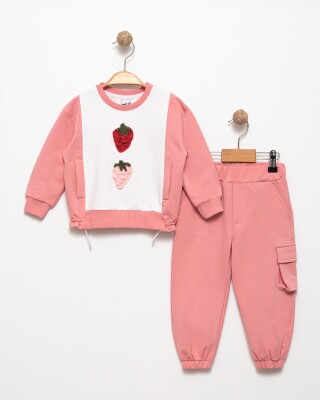 Wholesale Girls Tracksuit Set 1-5Y Pafim 2041-K24-8016 Розовый 