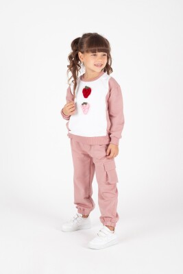 Wholesale Girls Tracksuit Set 1-5Y Pafim 2041-K24-8016 Пудра