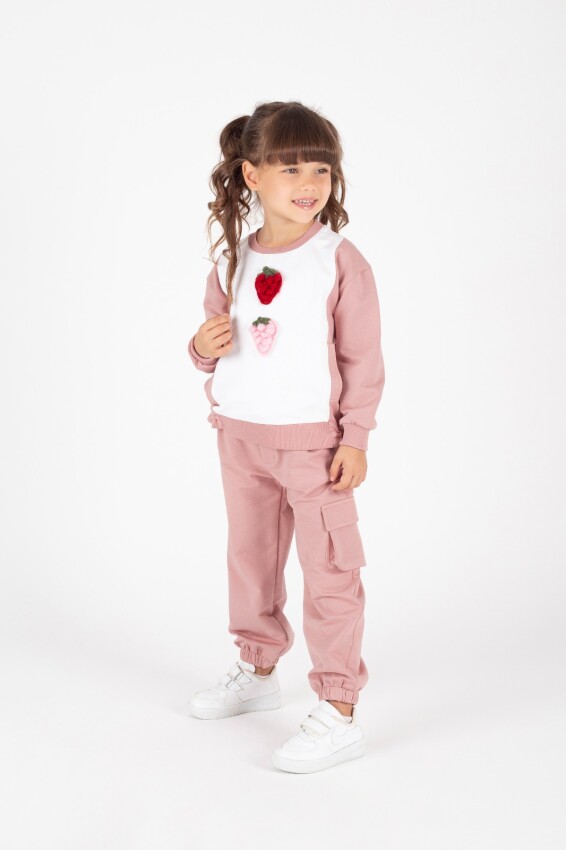 Wholesale Girls Tracksuit Set 1-5Y Pafim 2041-K24-8016 - 3