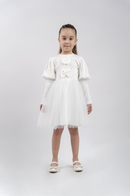 Wholesale Girls Tulle Silvery Dress 3-6Y Eray Kids 1044-13259 - Eray Kids