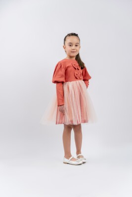 Wholesale Girls Tulle Silvery Dress 3-6Y Eray Kids 1044-13259 - Eray Kids (1)