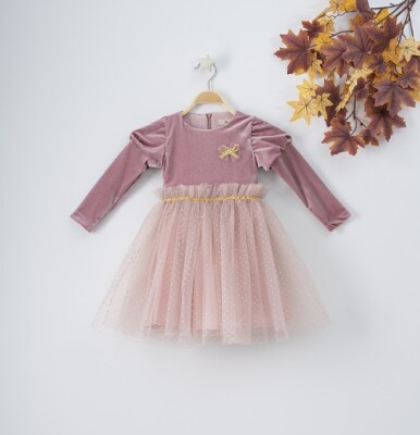 Wholesale Girls Velvet Dress with Tulle 3-6Y Busra Bebe 1016-22261 Пудра