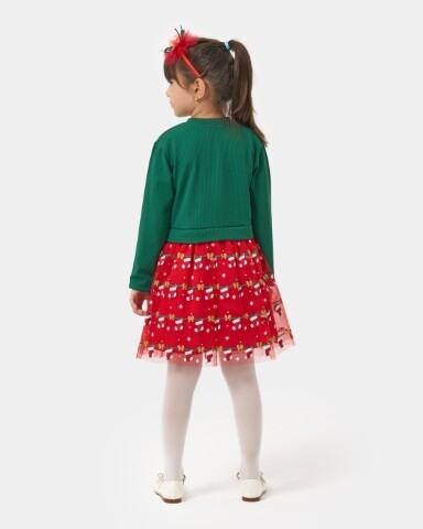 Wholesale Girls Xmas Tulle Dress 4-7Y Bupper Kids 1053-24900 - 3