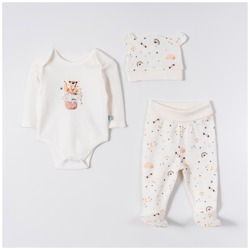 Wholesale Unisex Baby 3-Piece Bodysuits, Pants and Beanie Set 0-6M Pambuliq 2030-6683 - 1