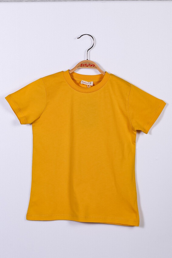 Wholesale Unisex Baby Basic T-Shirt 9-36M Zeyland 1070-221Z2NSN53 - 3